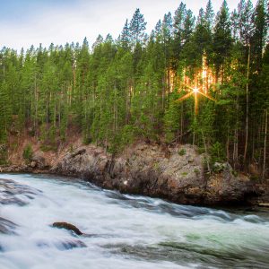 mountain stream in Colorado